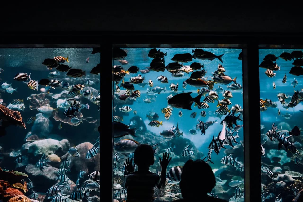 Antalya Aquarium Tour (from Side) from Side — Transfer, Price & Pickup