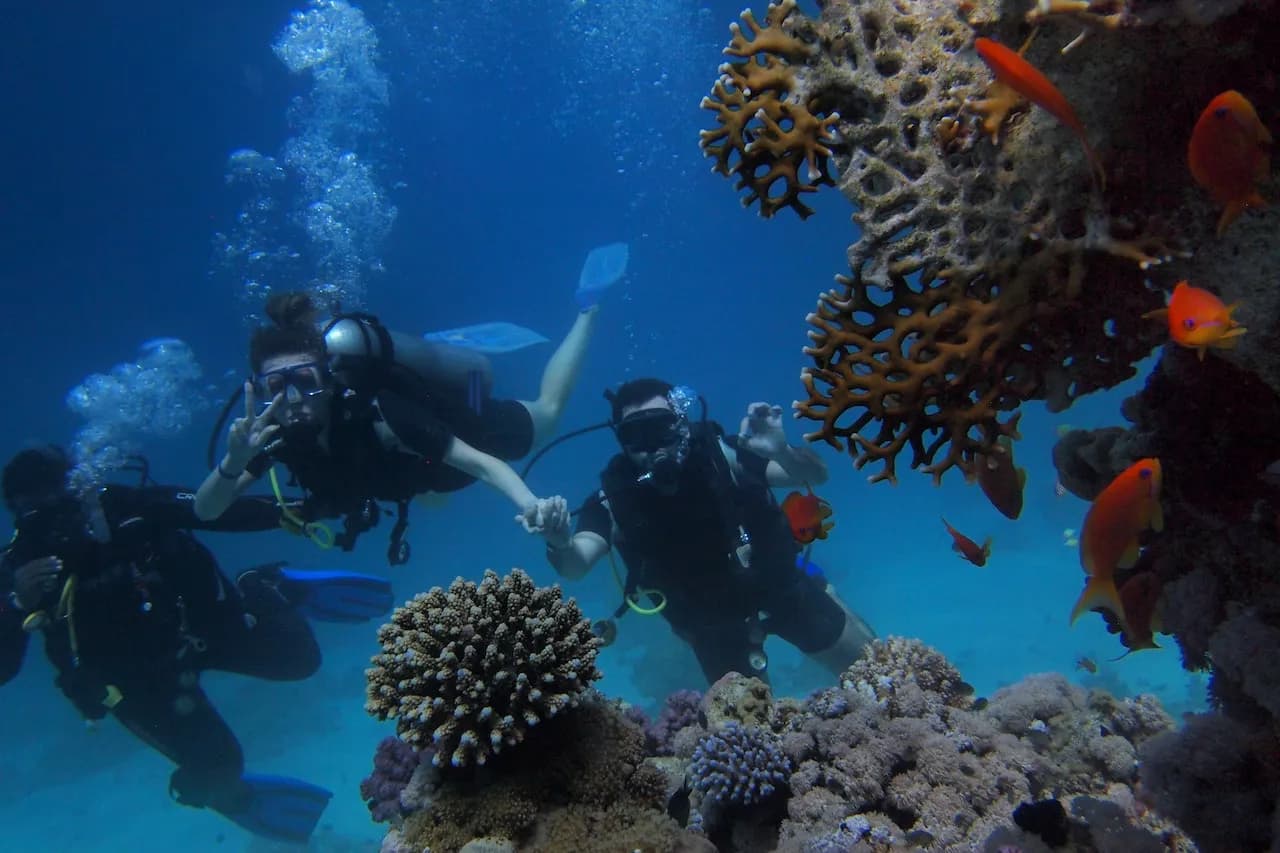 Scuba Diving Tour from Belek — Transfer, Price & Pickup