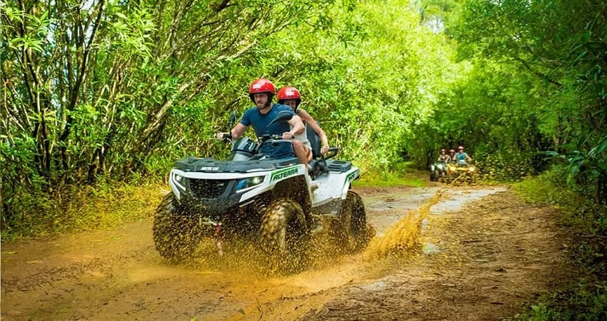 Quad Safari 4