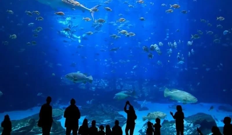 Antalya Aquarium Tour (from Side) 3