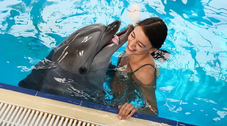Swim with Dolphins & Dolphin Show Combo 3