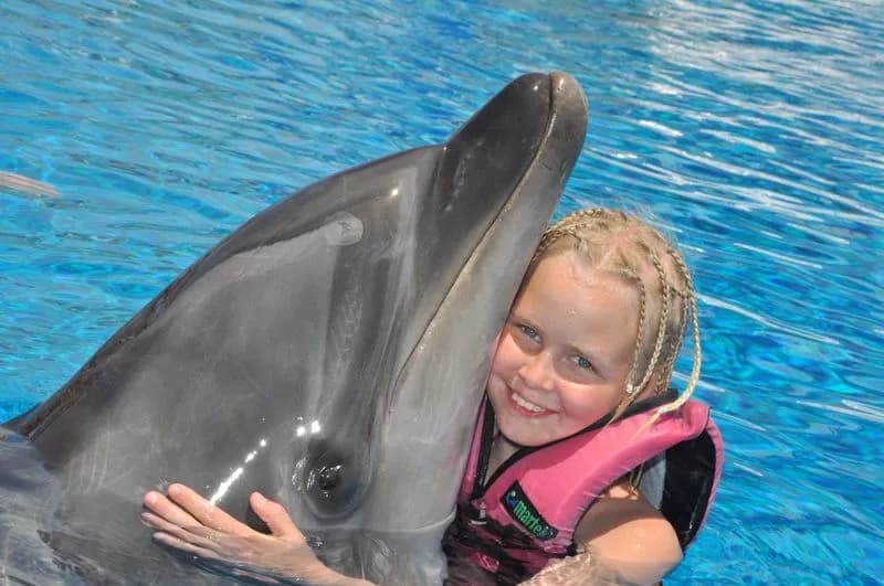 Swim with Dolphins & Dolphin Show Combo 4