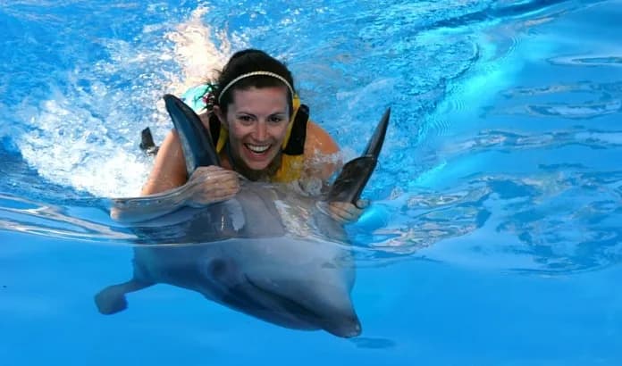 Swim with Dolphins & Dolphin Show Combo 5