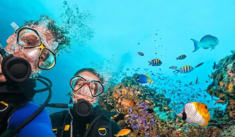 Scuba Diving Tour