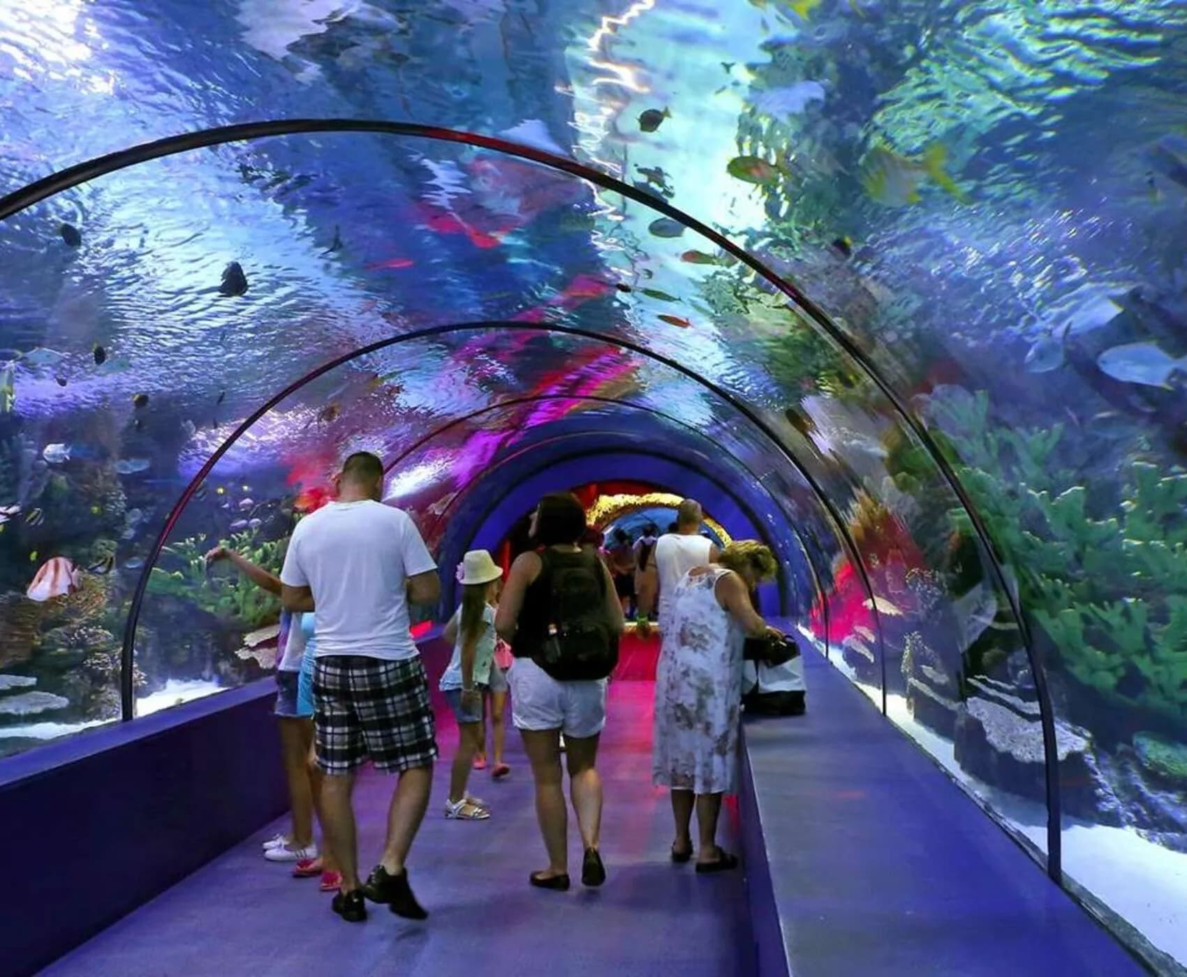 Antalya Aquarium Tour (from Side) 4