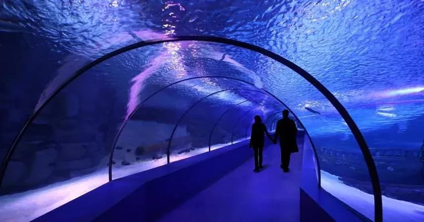 Antalya Aquarium Tour 2